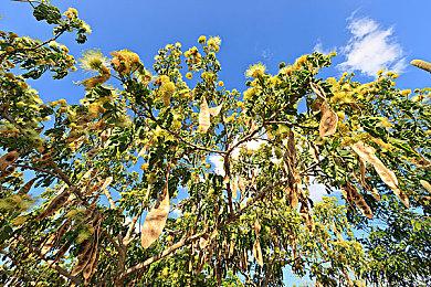 《黑色沙漠OL》8周年 消费者支出超过20亿欧元